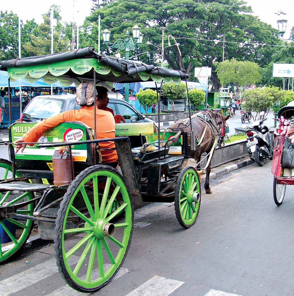 Popular means of transport in Jogjakarta are the horse and cart (andong) and the pedicab (becak). Popular means of transport in Jogjakarta are the horse and cart (andong) and the pedicab (becak).